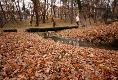 Meteo: Vremea se va mentine inchisa si rece